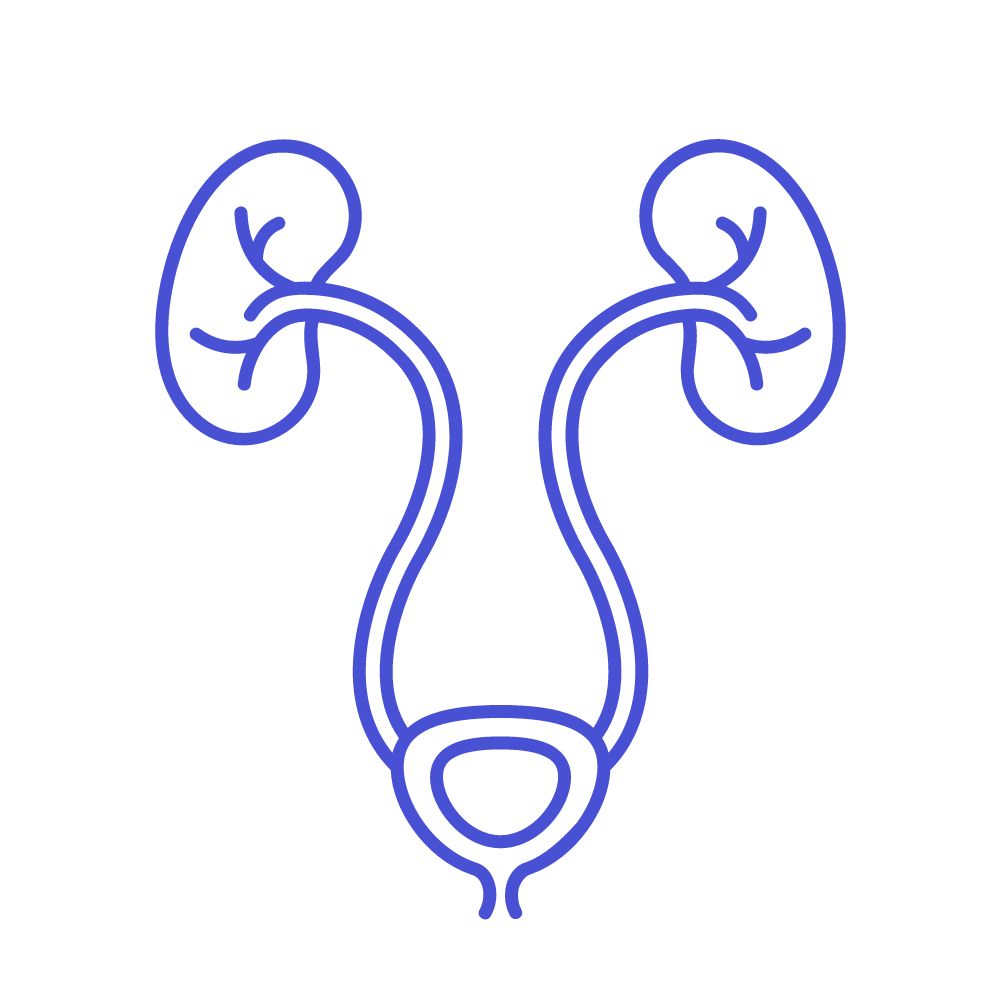 Urology | Best Hospitals in Davangere | Vishwas Hospitals